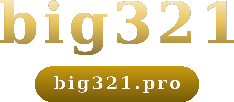 big321 logo